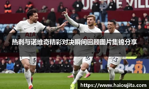热刺与诺维奇精彩对决瞬间回顾图片集锦分享